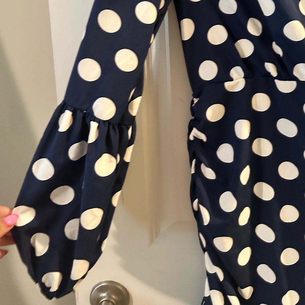 Blue & White Polka Dot Ruffled Dress with Ruching - Picture 5 of 11